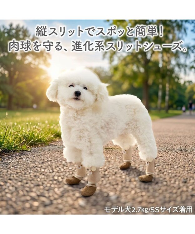 PET PARADISE ペットパラダイス くまちゃん スリットシューズ ＳＳ ブラウン