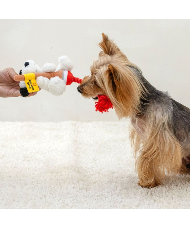 PET PARADISE スヌーピー 75周年 ロープトイ  小型犬 レッド