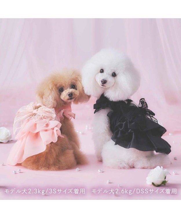 PET PARADISE cherircouture  接触冷感リボンワンピース《ピンク》 小型犬 ピンク