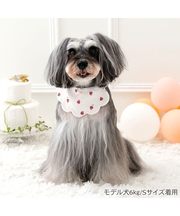PET PARADISE ペットパラダイス  苺くるくるスタイ  小型犬 ホワイト