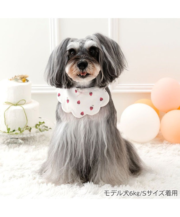 PET PARADISE ペットパラダイス  苺くるくるスタイ  小型犬 ホワイト
