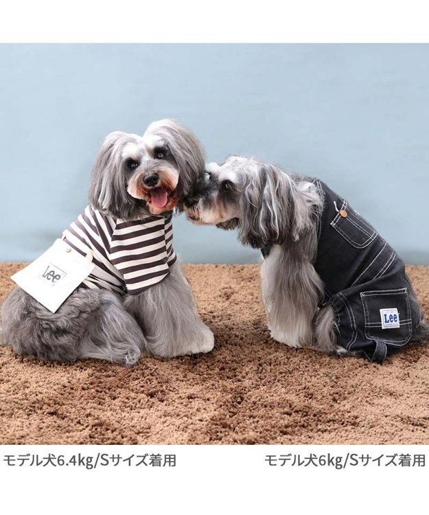 Lee デニム オーバーオール 《ブラック》 小型犬 / PET PARADISE