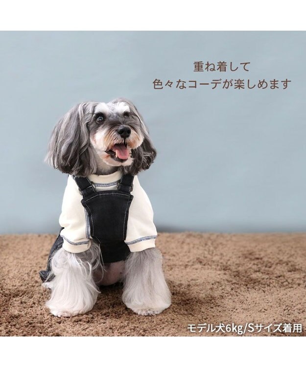 Lee オーバーオール　ブラック Lee デニム オーバーオール 《ブラック》 小型犬 / PET PARADISE