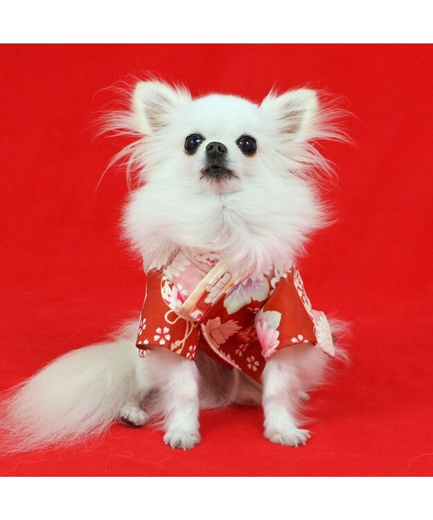 PET PARADISE ペットパラダイス 手毬菊 着物 小型犬 レッド