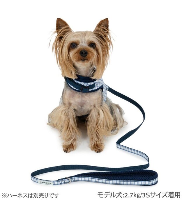 PET PARADISE J.PRESS リード  《チェック柄》 ４Ｓ～３Ｓ 小型犬 ホワイト×ブルー