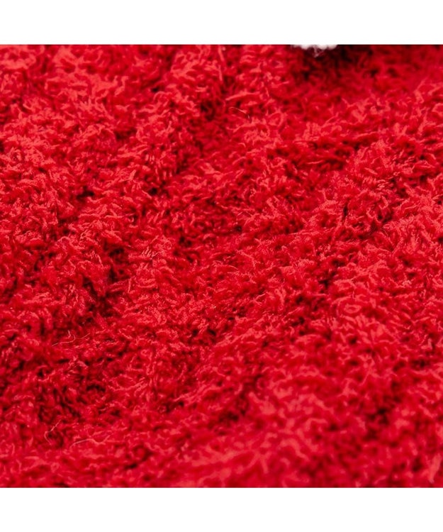 PET PARADISE ディズニー ミニーマウス リボン ニット 小型犬 レッド