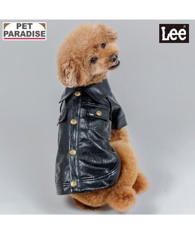 PET PARADISE Lee ＰＵ ライダース ジャケット 小型犬 ブラック
