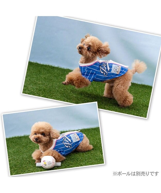 PET PARADISE スヌーピー ベースボール Ｔシャツ 《ブルー》 小型犬 ブルー