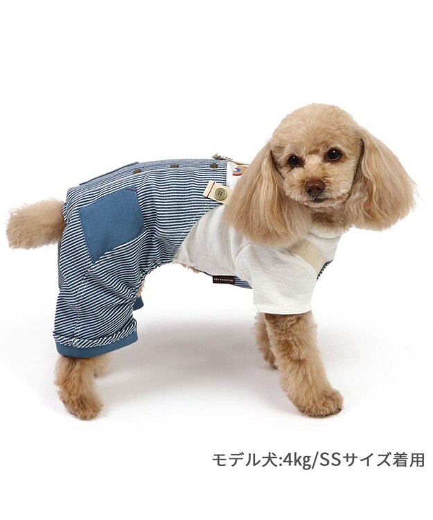ペリ犬 楽天市場】ソフトハーネス 犬用ハーネス リード セット 犬