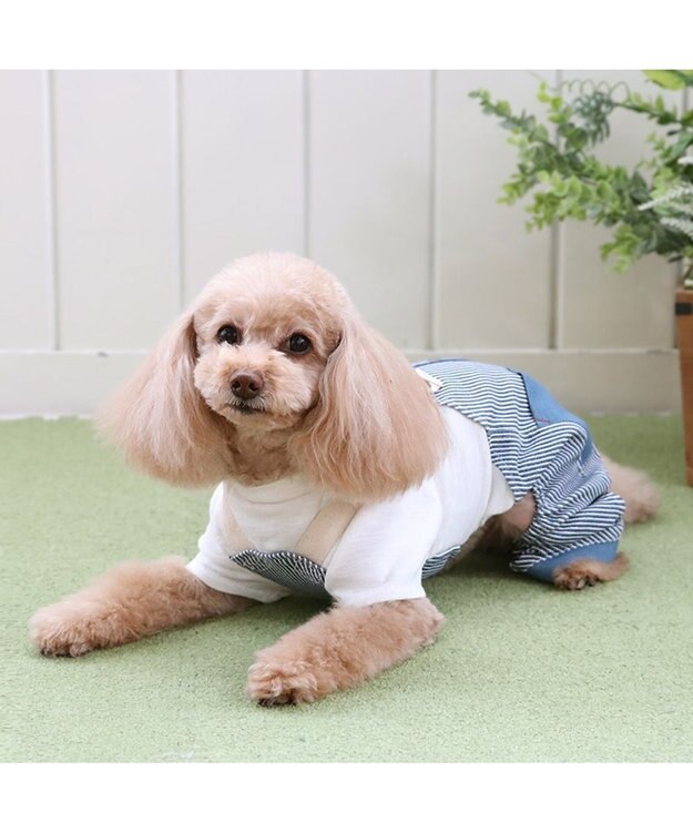 PET PARADISE ペットパラダイス パンツつなぎ 《ヒッコリー風》 小型犬 ヒッコリー風