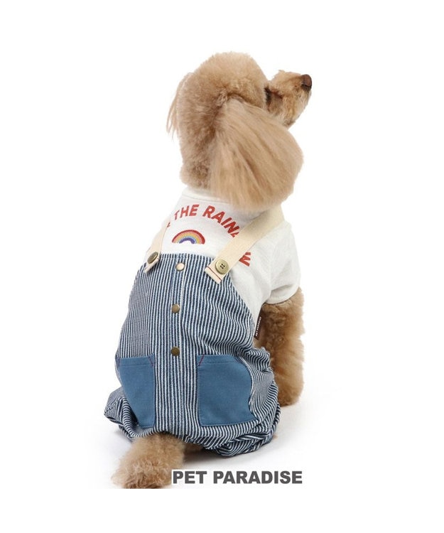 PET PARADISE ペットパラダイス パンツつなぎ 《ヒッコリー風》 小型犬 ヒッコリー風