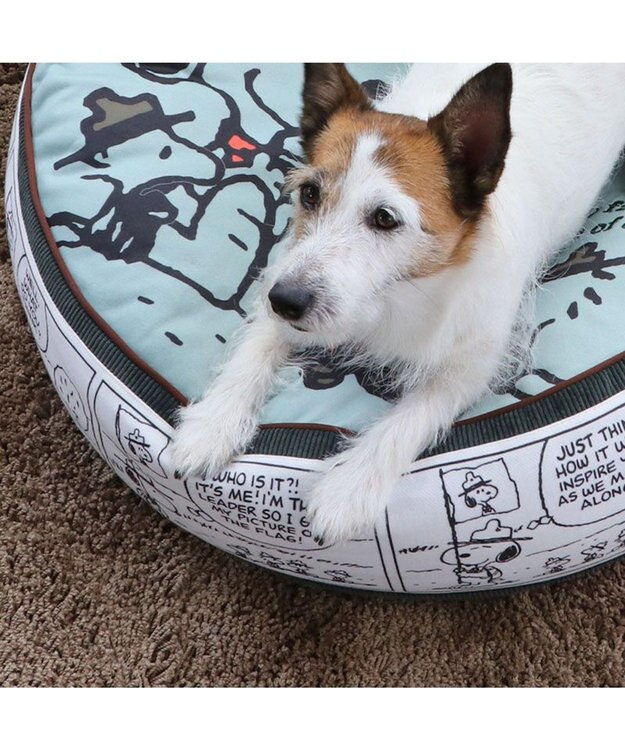 PET PARADISE スヌーピー クッション (60cm) ビーグルスカウト柄 50周年 ビーグルスカウト