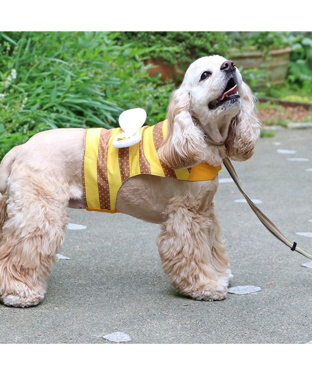 PET PARADISE ペットパラダイス  はちクールベスト 中型犬 ハチ