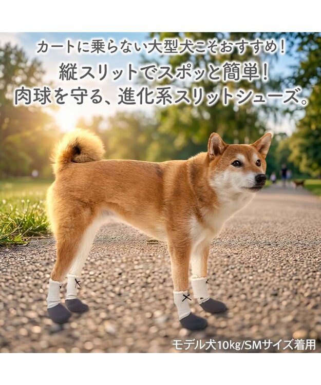 PET PARADISE ペットパラダイス バレエ スリット シューズ  Ｌ -