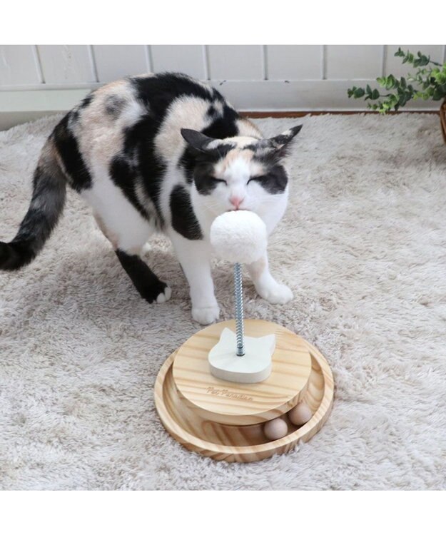PET PARADISE 猫 木製 コロコロ トイ 茶系