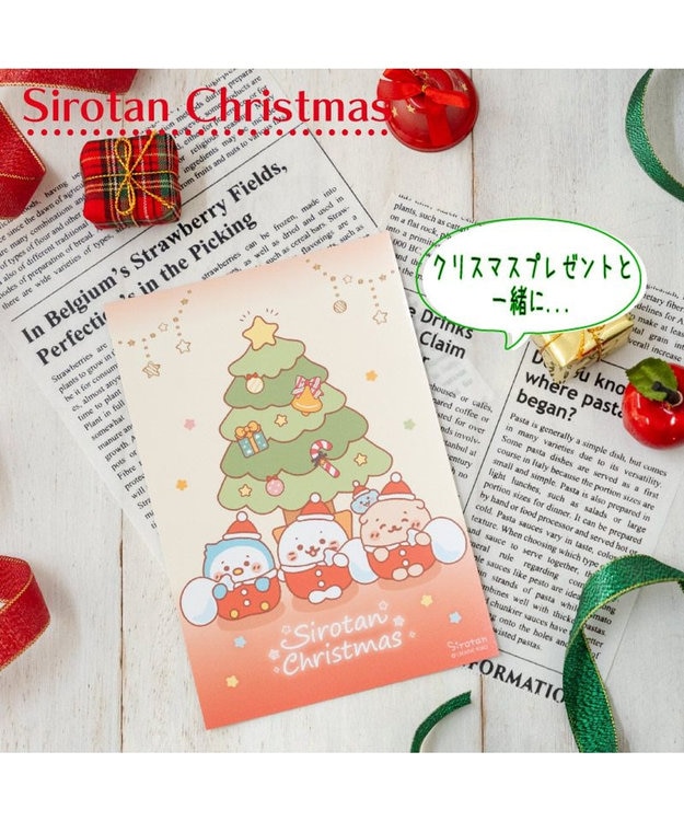 Mother garden しろたん  クリスマスカード 0