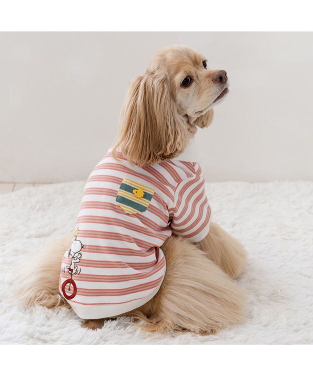 PET PARADISE スヌーピー ポロシャツ 《ボーダー》 中型犬 大型犬 ホワイト×レッド
