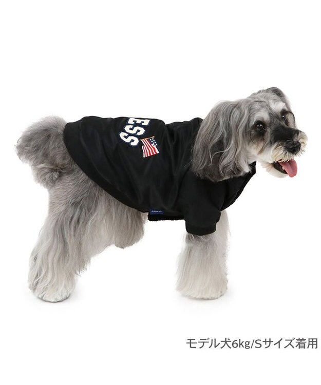 PET PARADISE J.PRESS ブラック スタジャン 小型犬 ブラック
