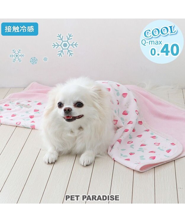 PET PARADISE ペットパラダイス クールケット 《苺＆お花柄》 小型犬 苺＆お花柄