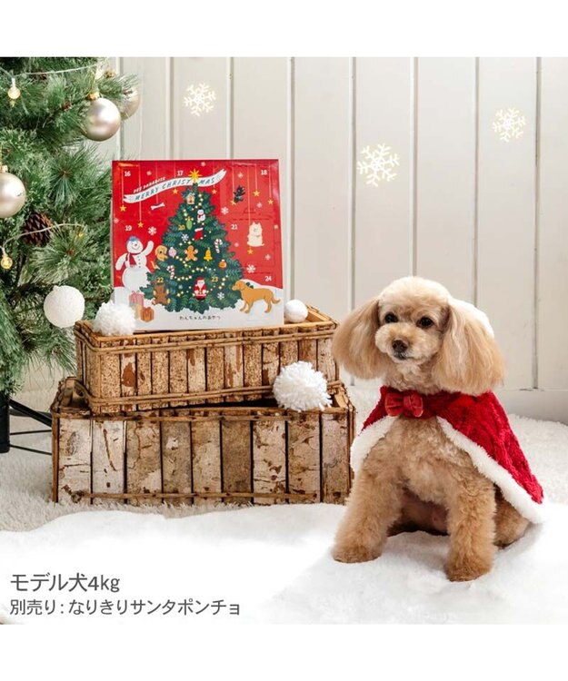 PET PARADISE 2025 クリスマス アドベントカレンダー おやつ 国産 0