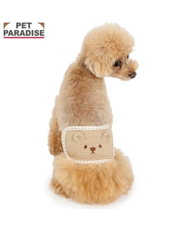 PET PARADISE ペットパラダイスくまちゃん いっぱい マナーベルト 小型犬 ブラウン
