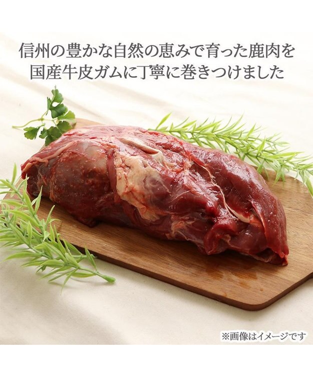 中古人物PETまとめ売り ペットパラダイス くまちゃん 総柄リード SS～S / PET