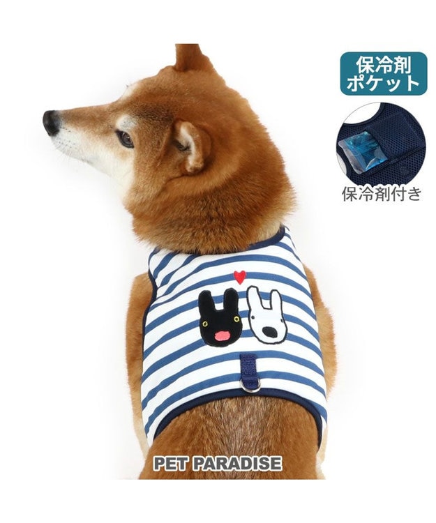 犬と猫の特殊検査マニュアル [単行本（ソフトカバー）] CAP編集部 CAP 2025年5月号 株式会社 緑書房
