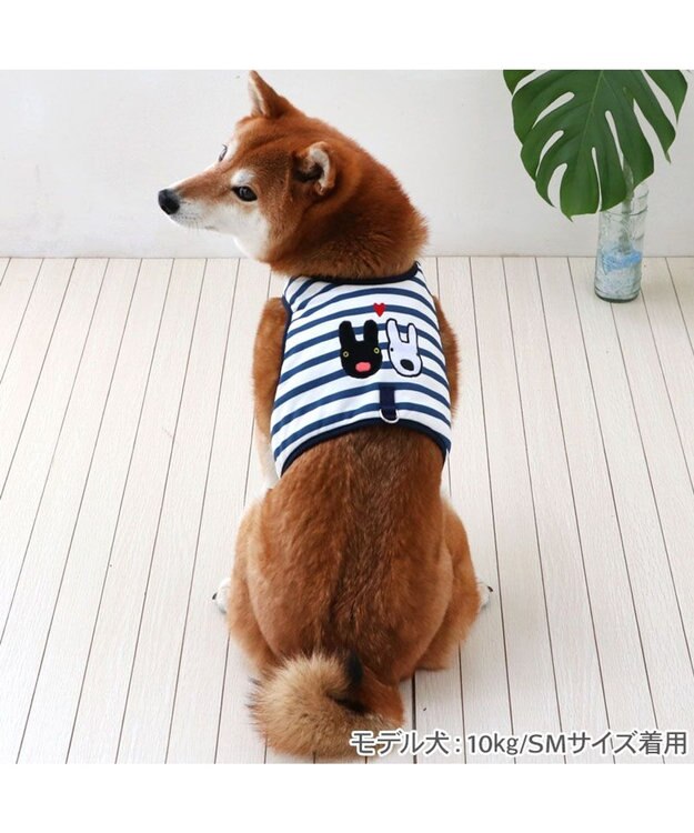 犬と猫の特殊検査マニュアル [単行本（ソフトカバー）] CAP編集部 犬と猫の特殊検査マニュアル [単行本（ソフトカバー）] CAP編集