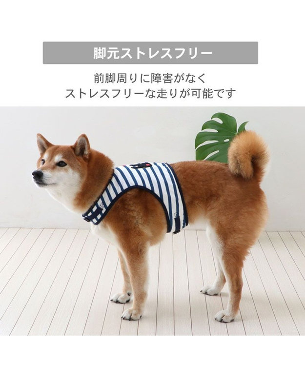 ペットパラダイス#リサガスベストセット売り美品 ペットパラダイス#リサガスベストセット売り美品｜Yahoo!フリマ