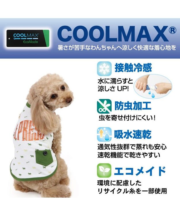 PET PARADISE J.PRESS エコメイド タンクトップ 《羊柄 グリーン》 小型犬 羊柄グリーン