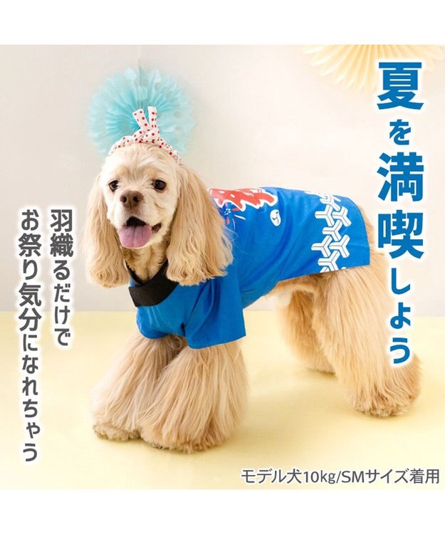 PET PARADISE ペットパラダイス ねじり鉢巻き付き 法被　中型犬 大型犬 ブルー
