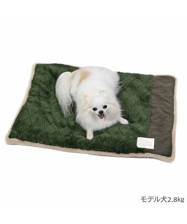 ペットパラダイス 遠赤外線 マット 《オニオン柄》 角型 80×60cm