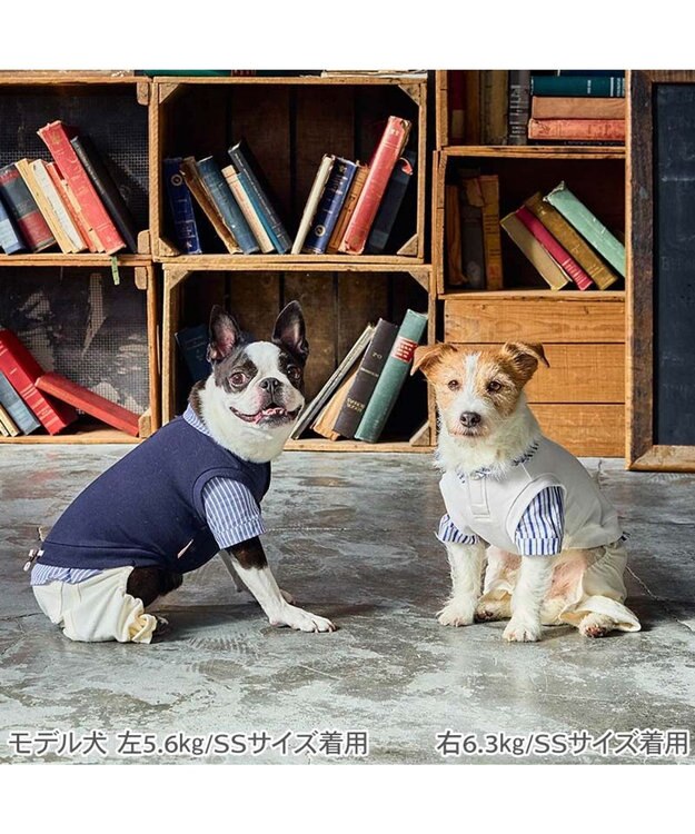 PET PARADISE ペットパラダイス ベスト パンツつなぎ 《ネイビー》 小型犬 ネイビー×ホワイト