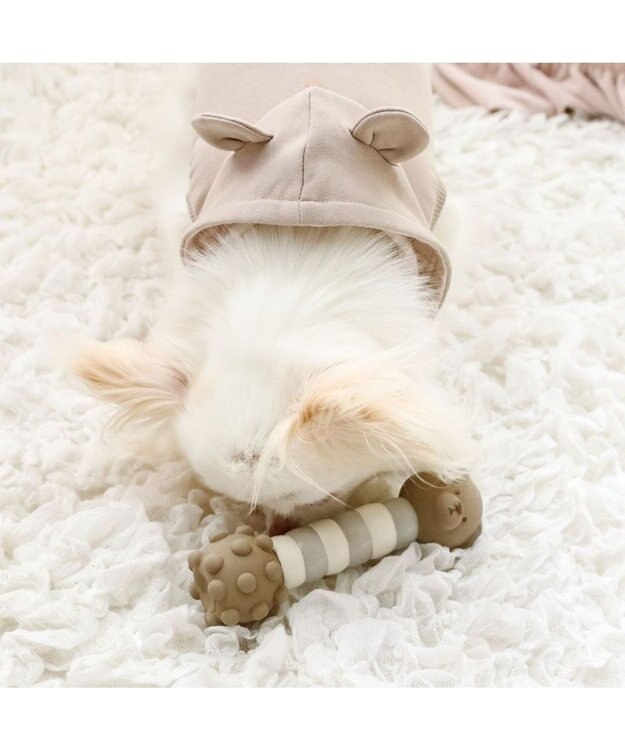 PET PARADISE ペットパラダイス くまちゃん  ラテックス トイ 《ブラウン》 ブラウン