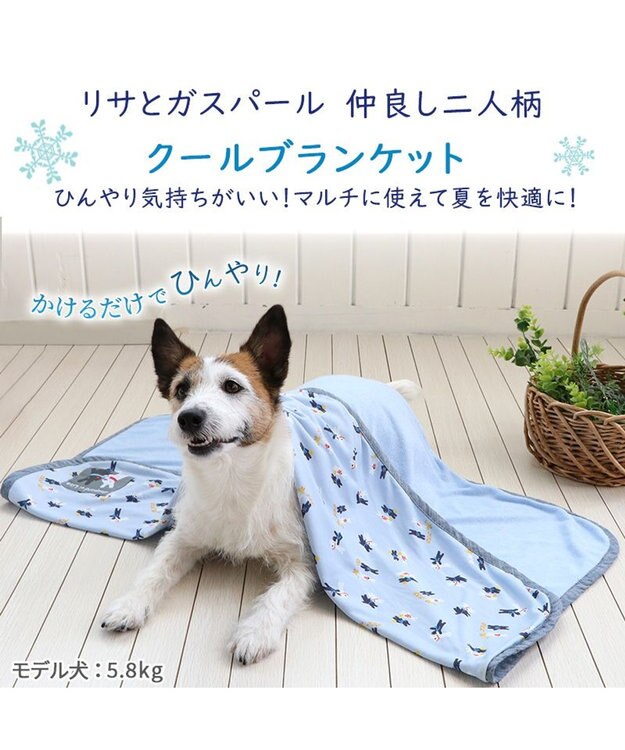 PET PARADISE リサとガスパール クールブランケット (90×60cm) 水色