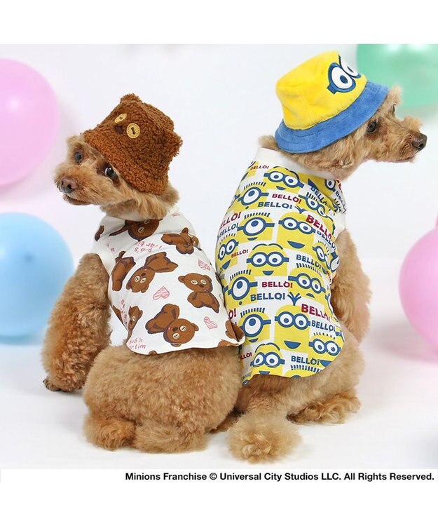 PET PARADISE ミニオン ティム バケットハット付き Tシャツ 小型犬 ブラウン