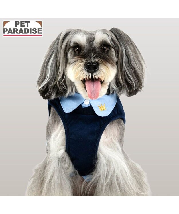 PET PARADISE ペットパラダイス 襟付きベストハーネス ＳＳ ネイビー×ブルー