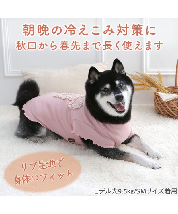 PET PARADISE ペットパラダイス リボン プレミアム ペティヒート Ｔシャツ 中型犬 ピンク