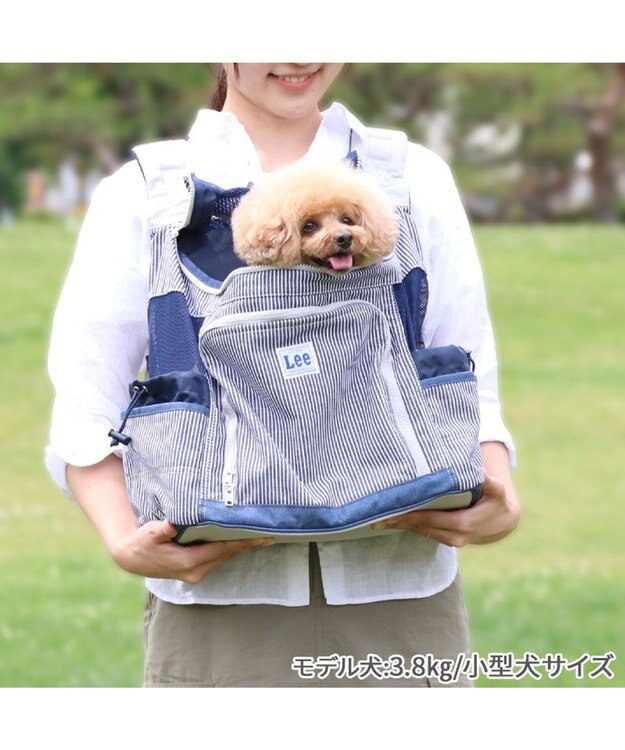 PET PARADISE Ｌｅｅ ハグ＆リュック  キャリーバッグ 《ヒッコリー柄》 M 小型犬 グレー