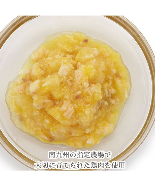 PET PARADISE リアルフード パウチスープ 《砂肝＆パンプキン》 50g×3パック 国産 砂肝＆パンプキン