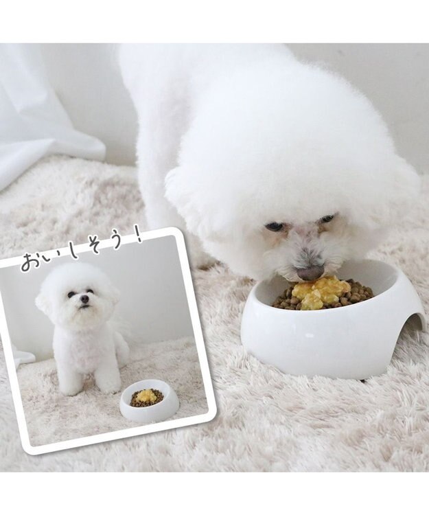 PET PARADISE リアルフード パウチスープ 《砂肝＆パンプキン》 50g×3パック 国産 砂肝＆パンプキン