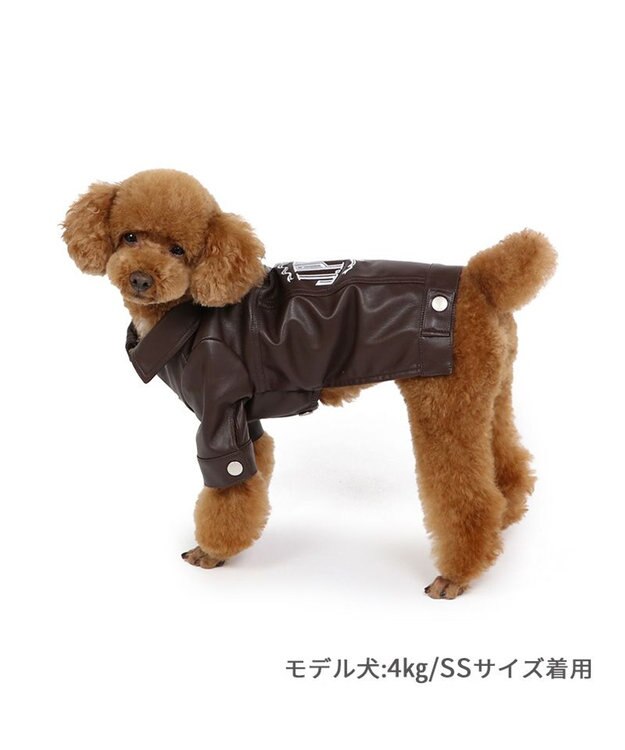 J.PRESS フェイクレザー ジャケット 小型犬 / PET PARADISE