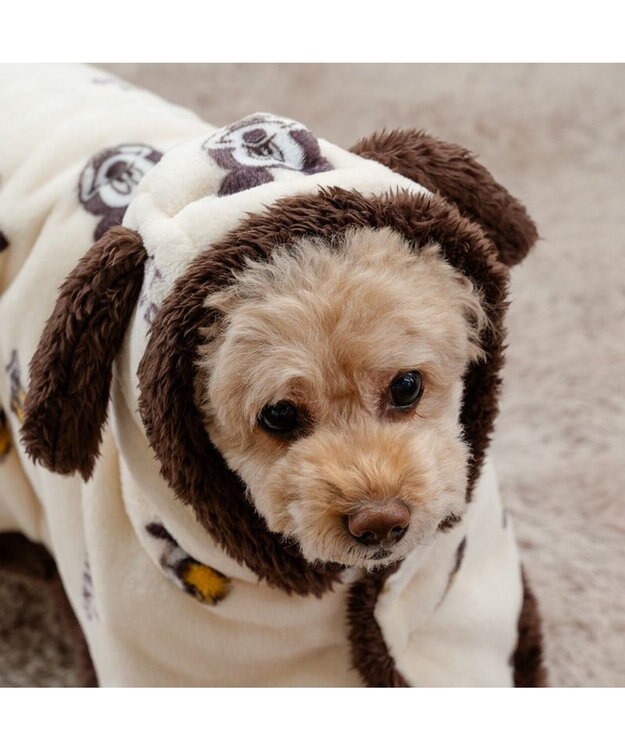 PET PARADISE ディズニー プルート 着る毛布 小型犬 ホワイト×ブラウン