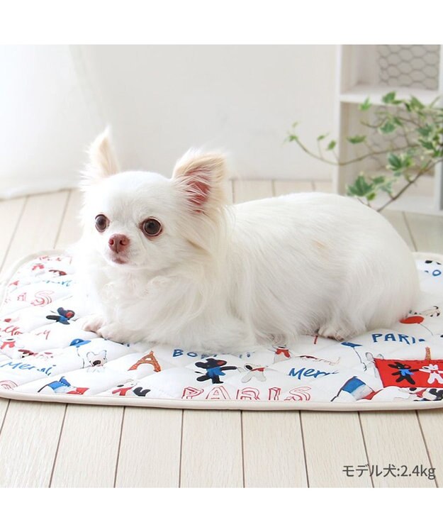 PET PARADISE リサとガスパール クール マット 《パリ柄》 小型犬 48×40㎝ パリ柄