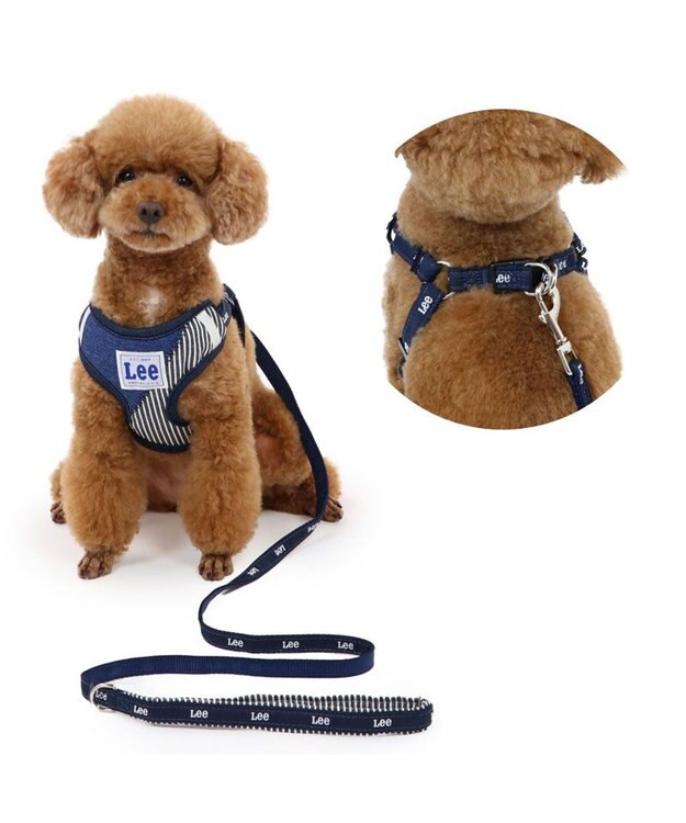 PET PARADISE Lee パッチワーク ハーネス＆リード ３Ｓ 超小型犬 小型犬 0
