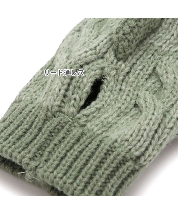 PET PARADISE ペットパラダイス ニット 帽子 《恐竜》 中型犬 大型犬 グリーン