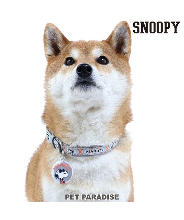 PET PARADISE スヌーピージョークール 反射 お揃い首輪 【SM】 青