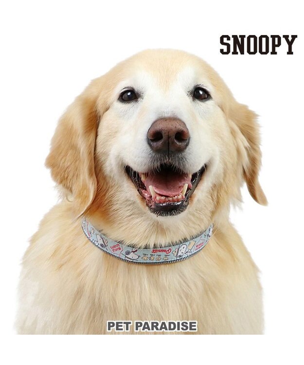 PET PARADISE スヌーピー 首輪 《 ビーグルスカウト》 Ｍ 大型犬 ビーグルスカウト