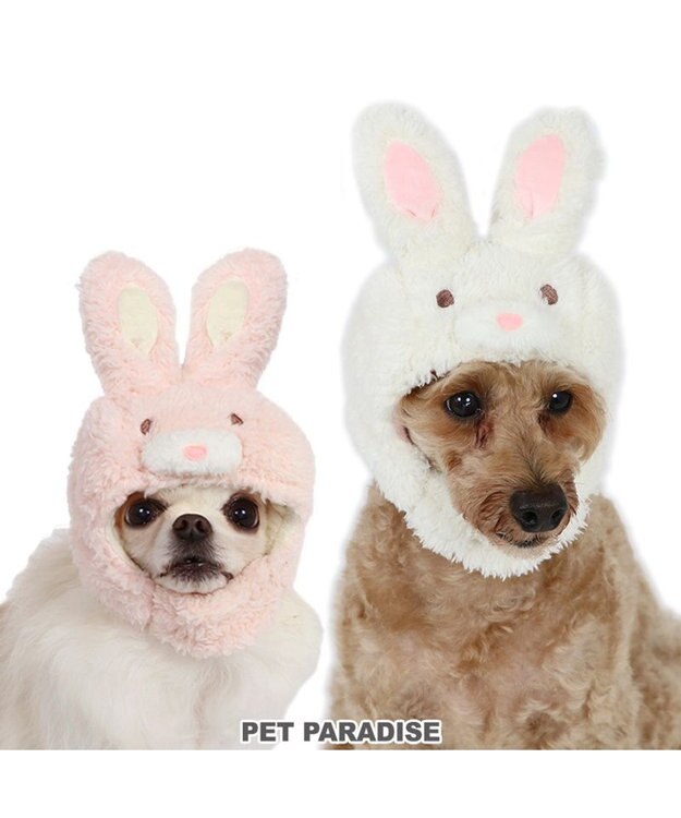 犬服 卯 犬 猫 帽子 ウサギ 【小型犬】 ピンク ホワイト / PET