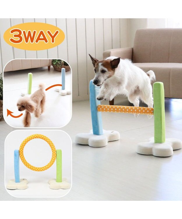 PET PARADISE 犬 トイ TOY ペットパラダイス アジリティ セット 訓練 ドッグアジリティ トレーニング マルチカラー